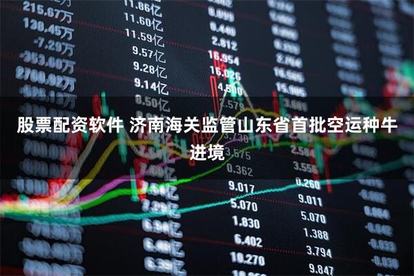 股票配资软件 济南海关监管山东省首批空运种牛进境