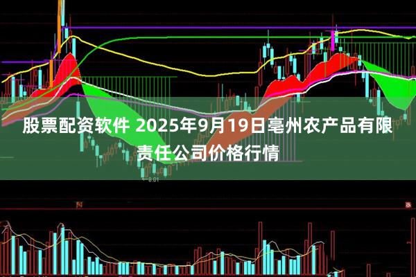 股票配资软件 2025年9月19日亳州农产品有限责任公司价格行情